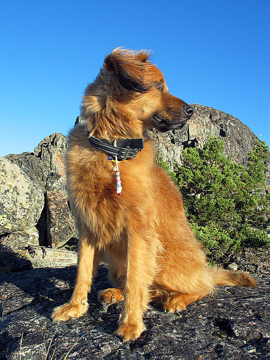 Windy Hiking Hairy