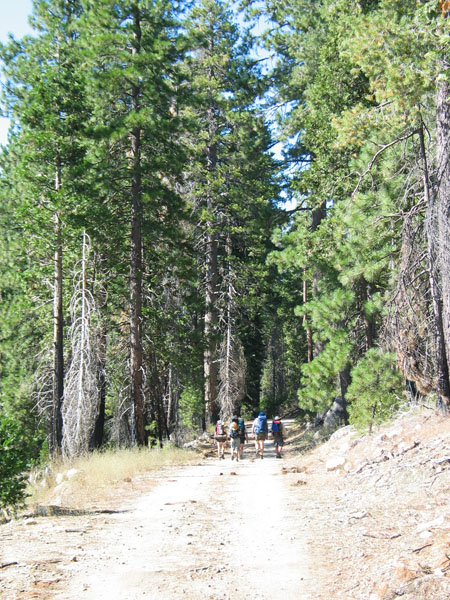 2006 Emigrant Wilderness Backpacking - ./images/EmigrantWilderness_IMG_8027.jpg 