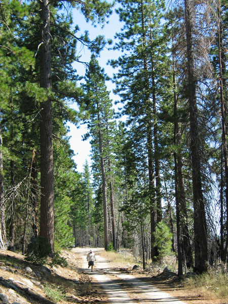 2006 Emigrant Wilderness Backpacking - ./images/EmigrantWilderness_IMG_8029.jpg 