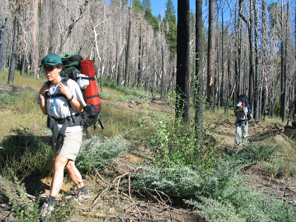 2006 Emigrant Wilderness Backpacking - ./images/EmigrantWilderness_IMG_8032.jpg 