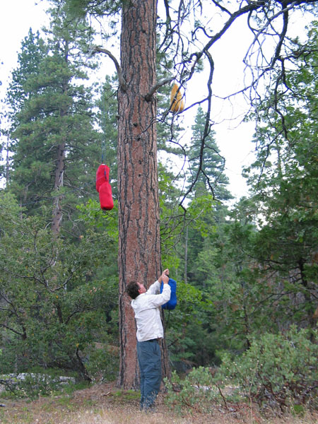 2006 Emigrant Wilderness Backpacking - ./images/EmigrantWilderness_IMG_8073.jpg 