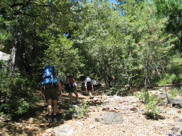 2006 Emigrant Wilderness Backpacking - ./images/EmigrantWilderness_IMG_8084.jpg 