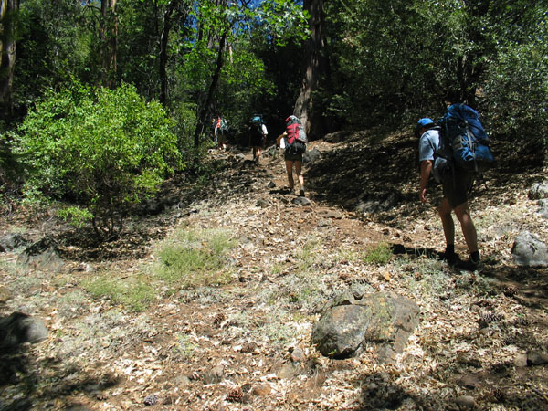 2006 Emigrant Wilderness Backpacking - ./images/EmigrantWilderness_IMG_8085.jpg 