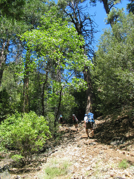 2006 Emigrant Wilderness Backpacking - ./images/EmigrantWilderness_IMG_8086.jpg 