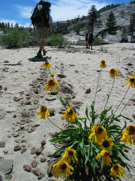 2006 Emigrant Wilderness Backpacking - ./images/EmigrantWilderness_IMG_8091.jpg 