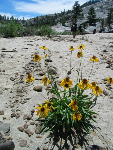 2006 Emigrant Wilderness Backpacking - ./images/EmigrantWilderness_IMG_8092.jpg 