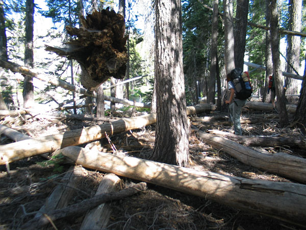 2006 Emigrant Wilderness Backpacking - ./images/EmigrantWilderness_IMG_8296.jpg 