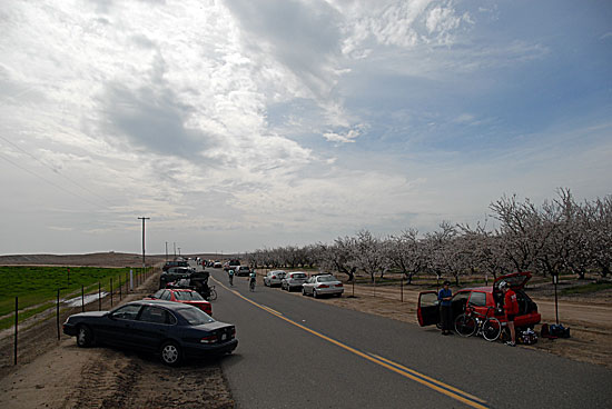 Merco/McLane/Foothills Road Race